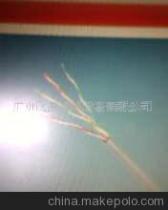 供應(yīng)廣西地區(qū) 百通IBDN超五類雙絞線、模塊及面板布線產(chǎn)品介紹